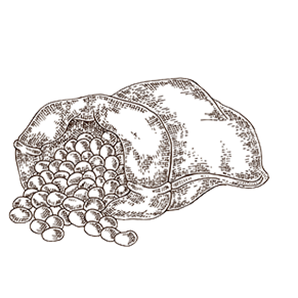 ikizler gıda bodrum