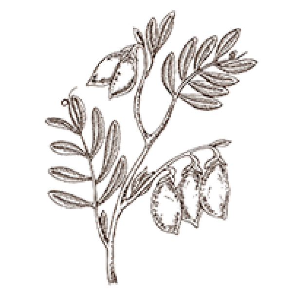 ikizler gıda bodrum