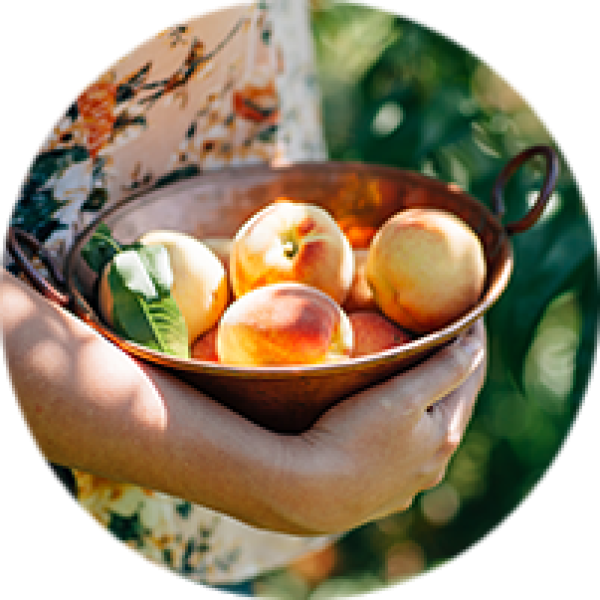 ikizler gıda bodrum